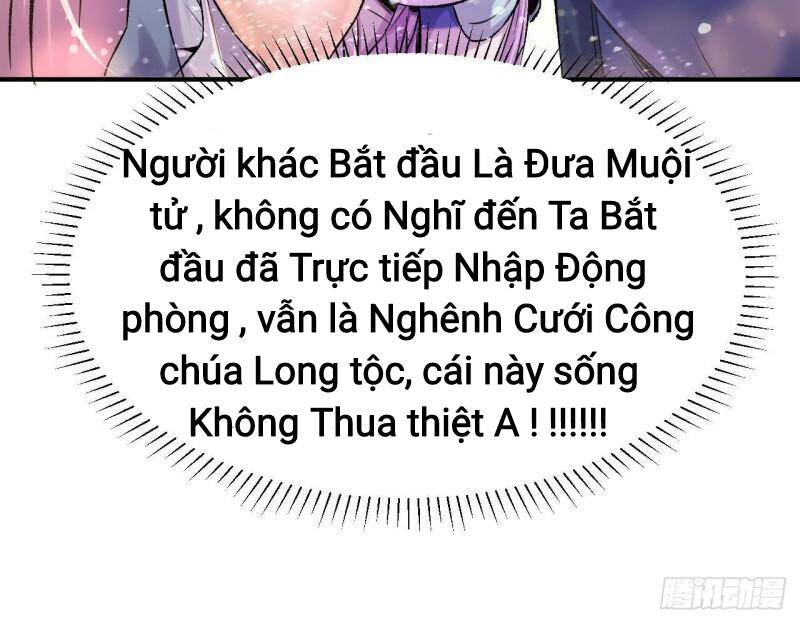 long-vuong-cuoi-cung/12