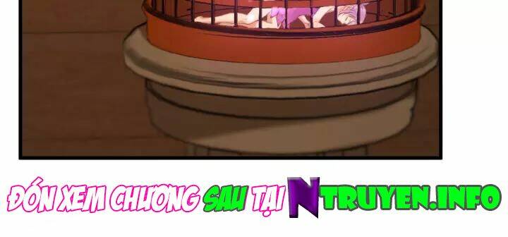 luom-duoc-mot-tieu-ho-ly-3/33