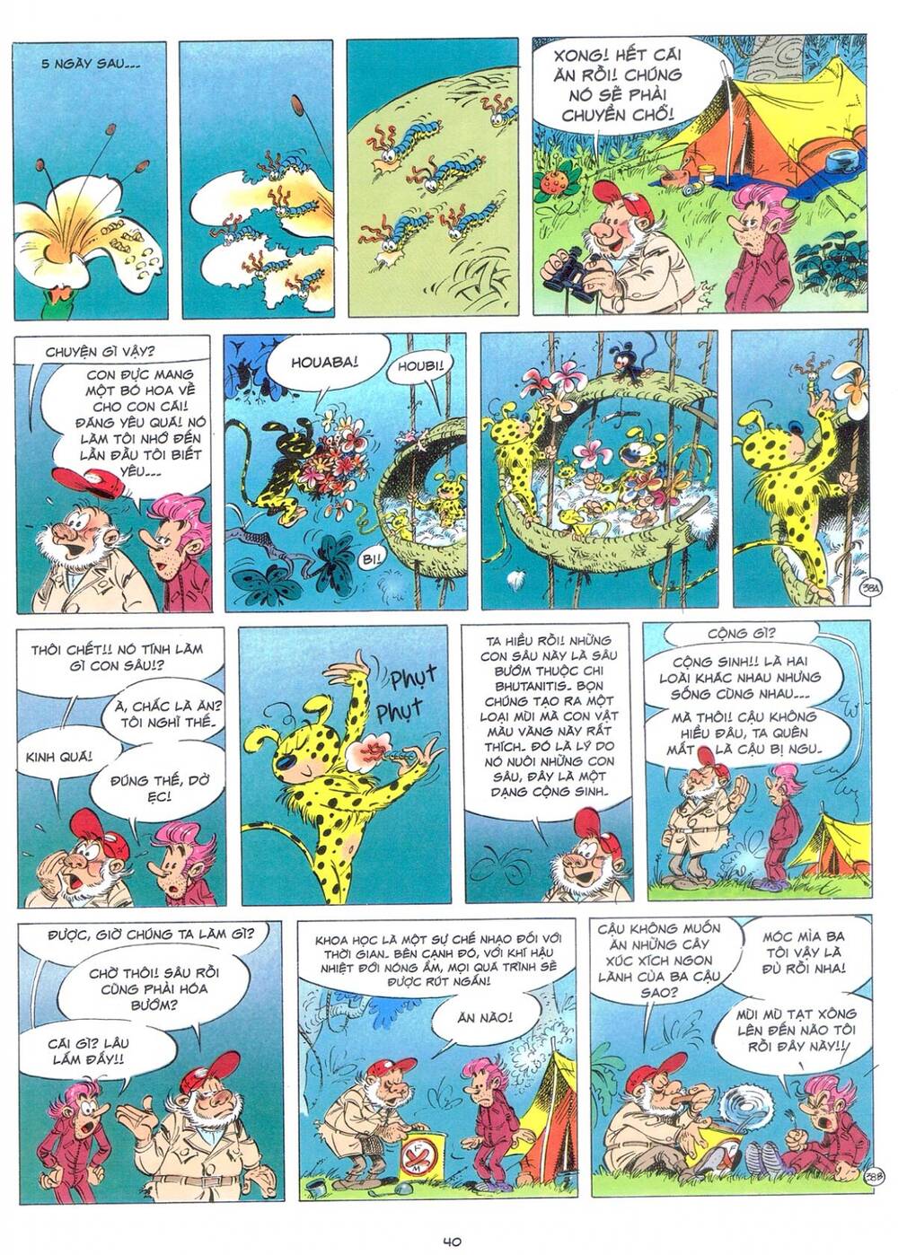 marsupilami/38