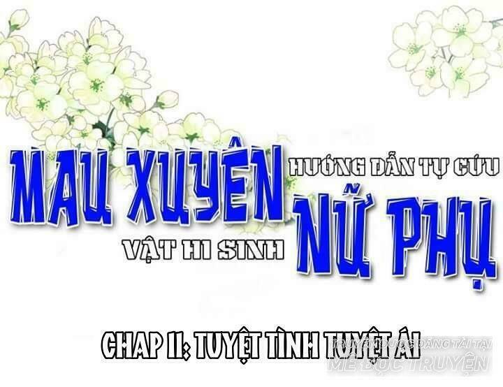 mau-xuyen-huong-dan-tu-cuu-vat-hi-sinh-nu-phu/0