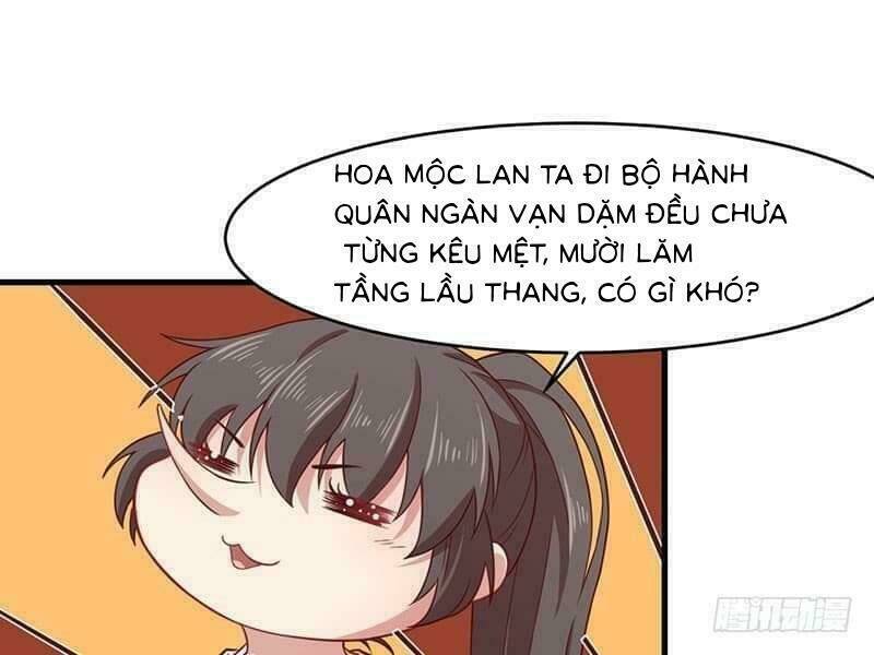 moc-lan-muon-xuat-gia/16