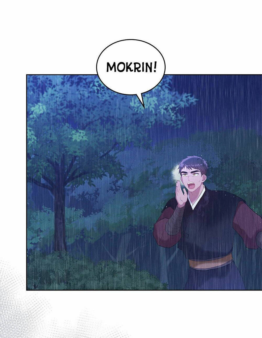 mokrin/4