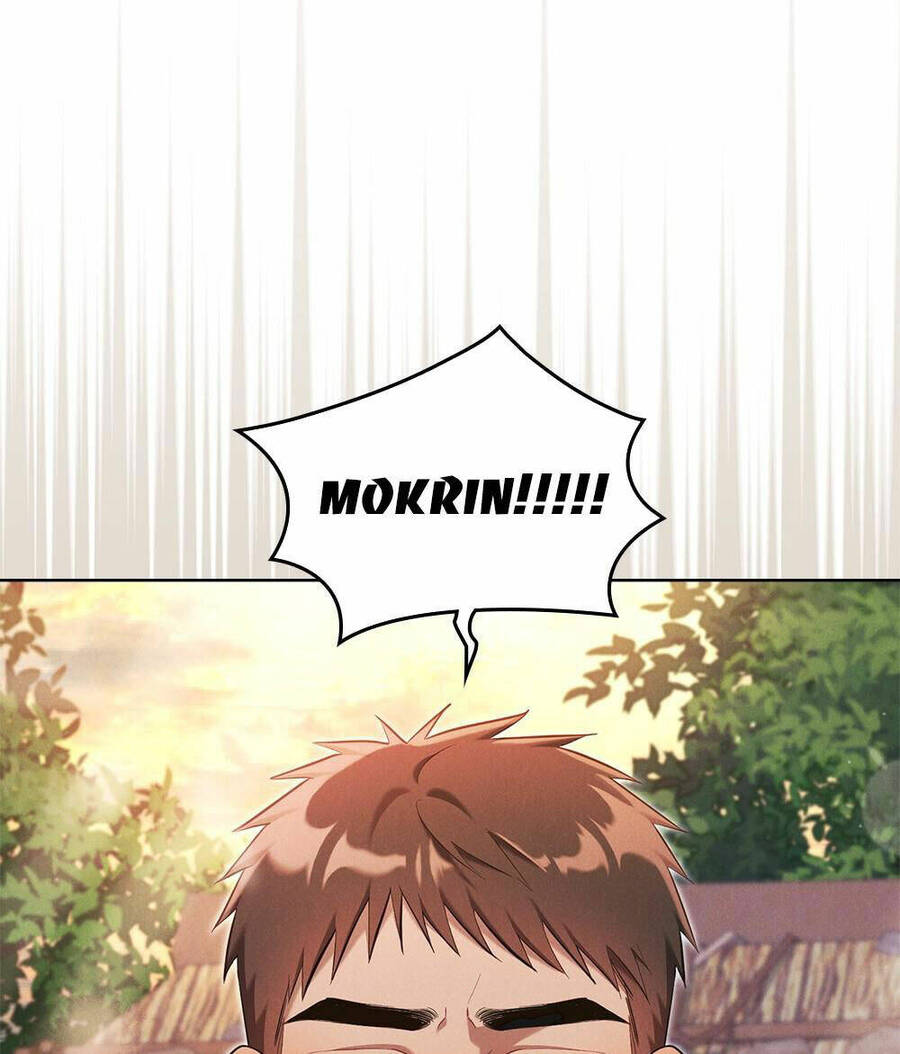 mokrin/40