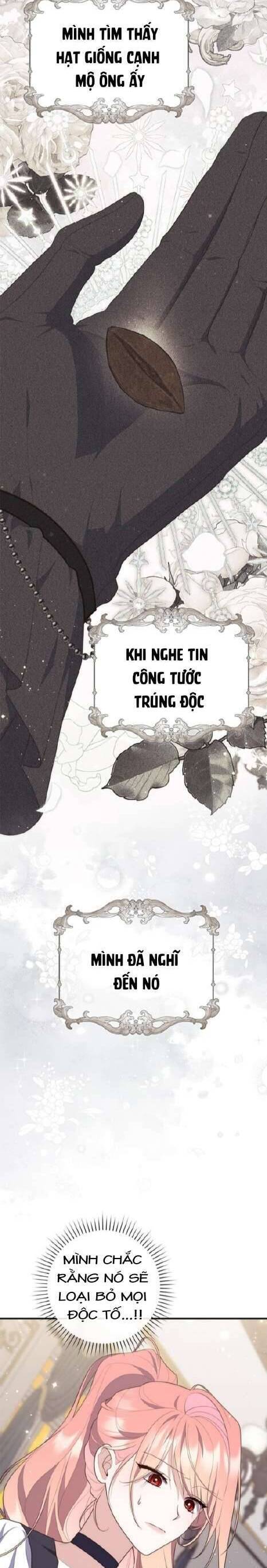 nang-cong-chua-tien-tri/16