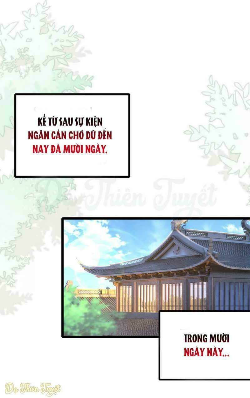 nhan-vat-phan-dien-bien-thanh-sung-vat/1