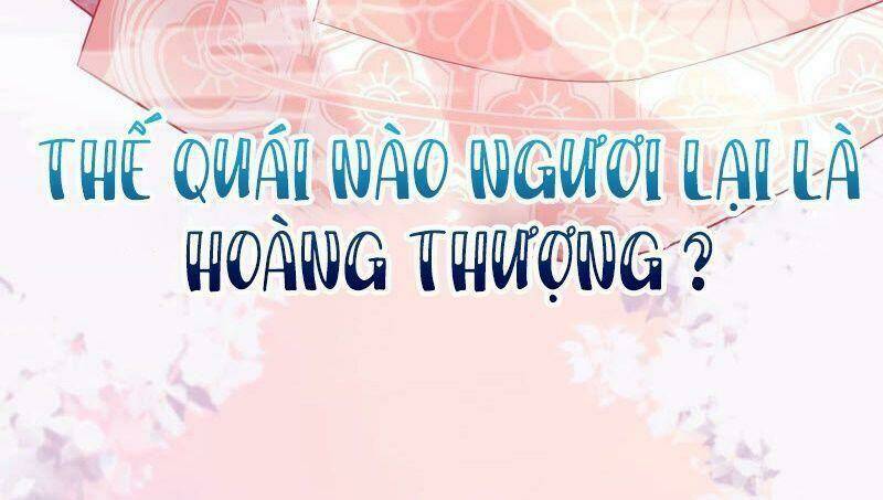 quan-chua-vung-vang-thiet-lap-nhan-vat-khong-the-vo/56