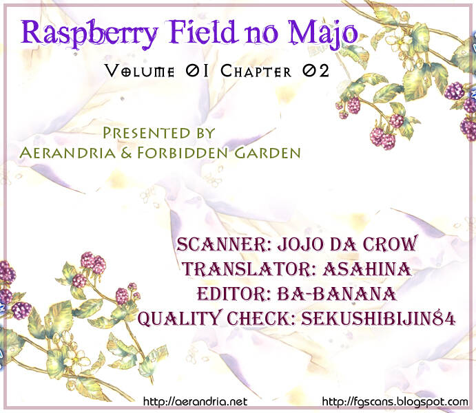 raspberry-field-no-majo/35