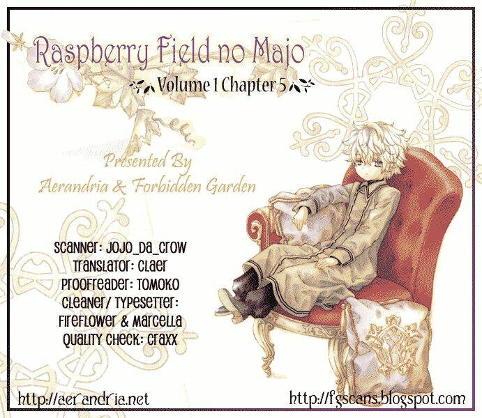 raspberry-field-no-majo/35