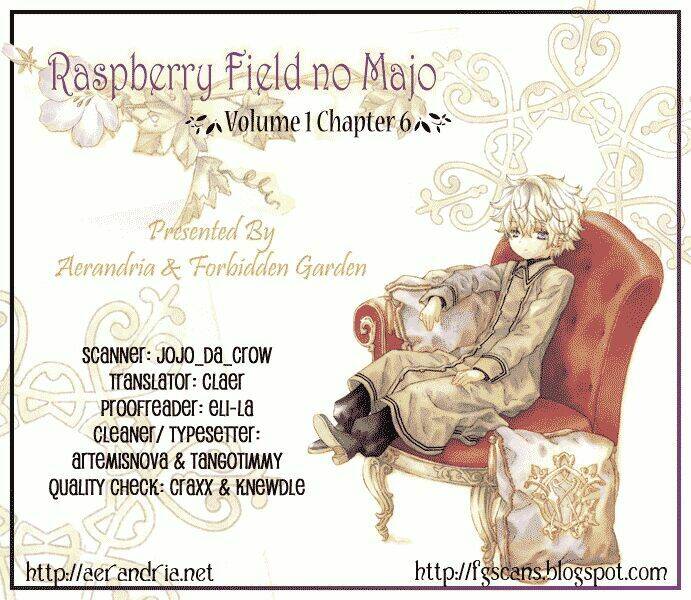 raspberry-field-no-majo/41