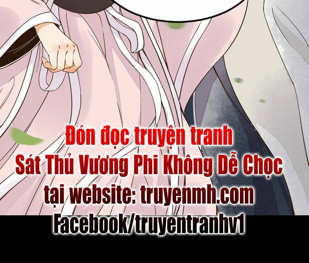 sat-thu-vuong-phi-khong-de-choc/24