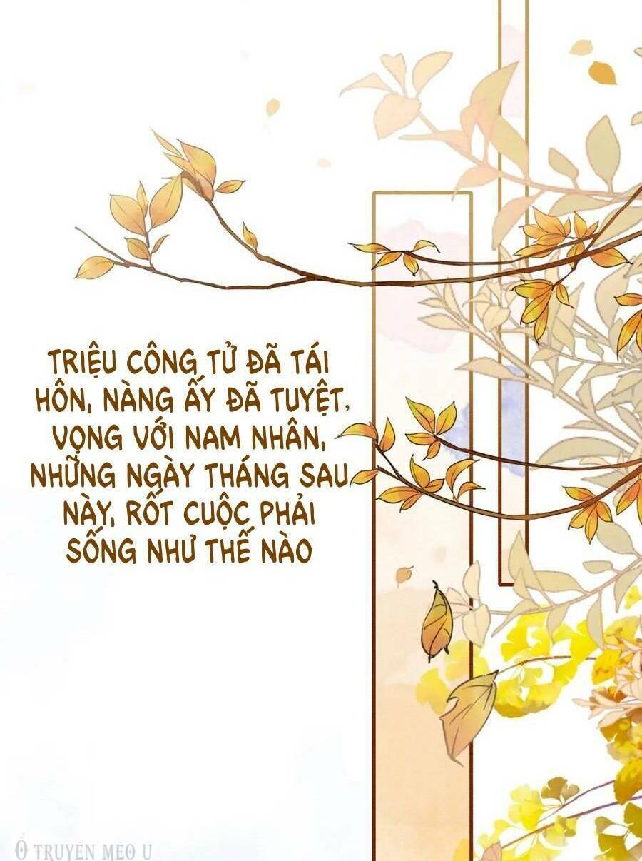 so-tay-cong-luoc-hac-lien-hoa/29