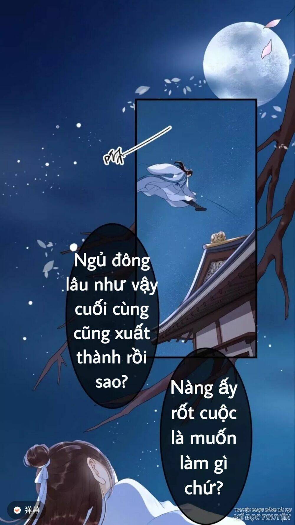 sung-phi-cua-vuong/0