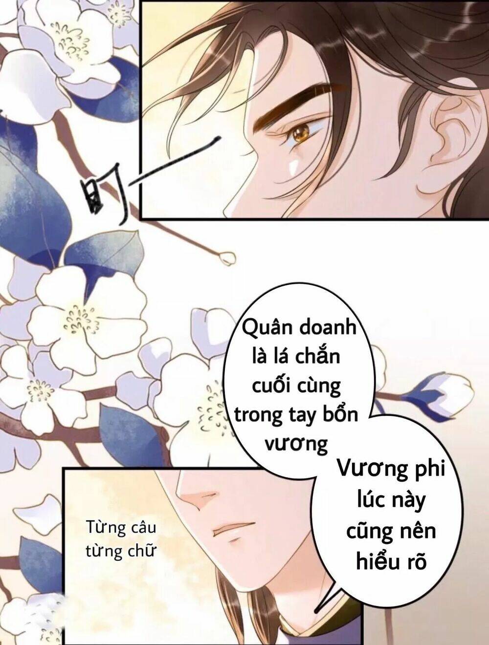 sung-phi-cua-vuong/23