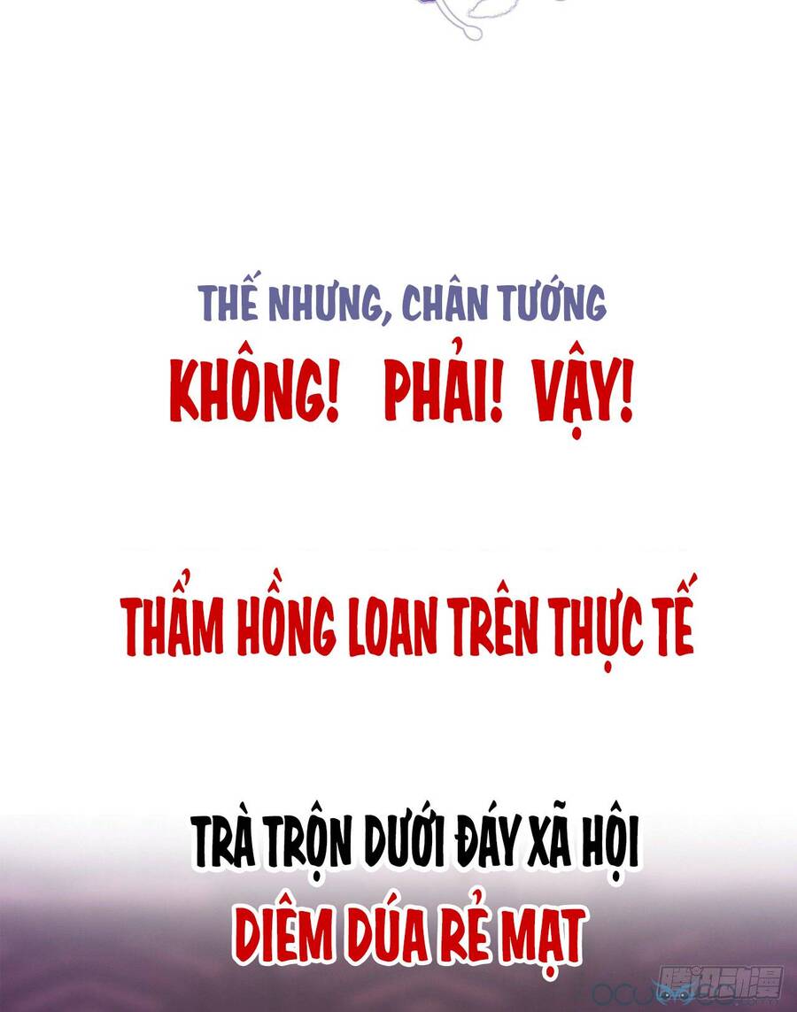 the-chu-thinh-huong-dung/4