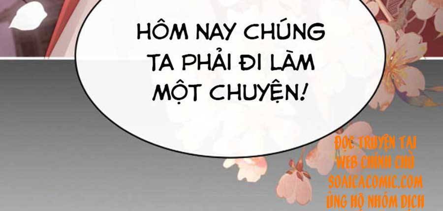 the-chu-thinh-huong-dung/20