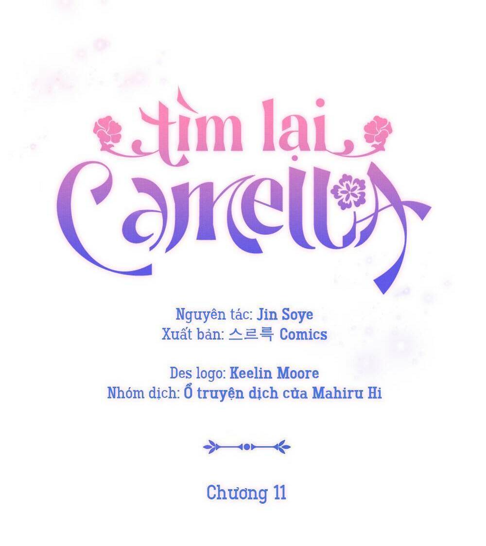 tim-lai-camellia/28