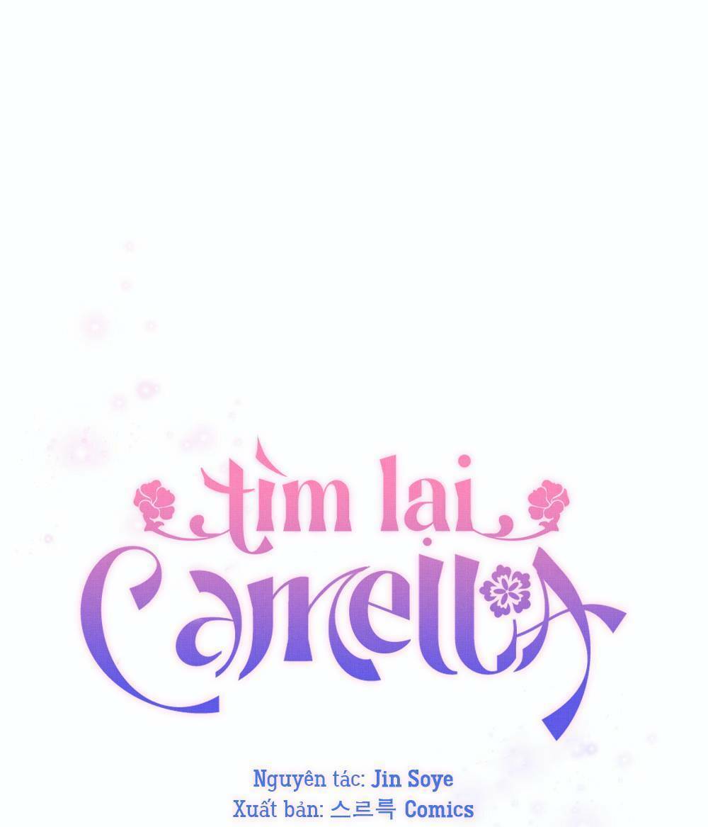 tim-lai-camellia/24