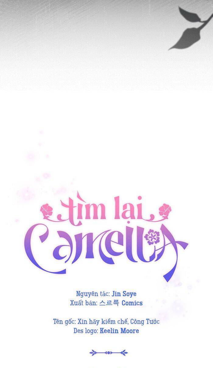 tim-lai-camellia/11