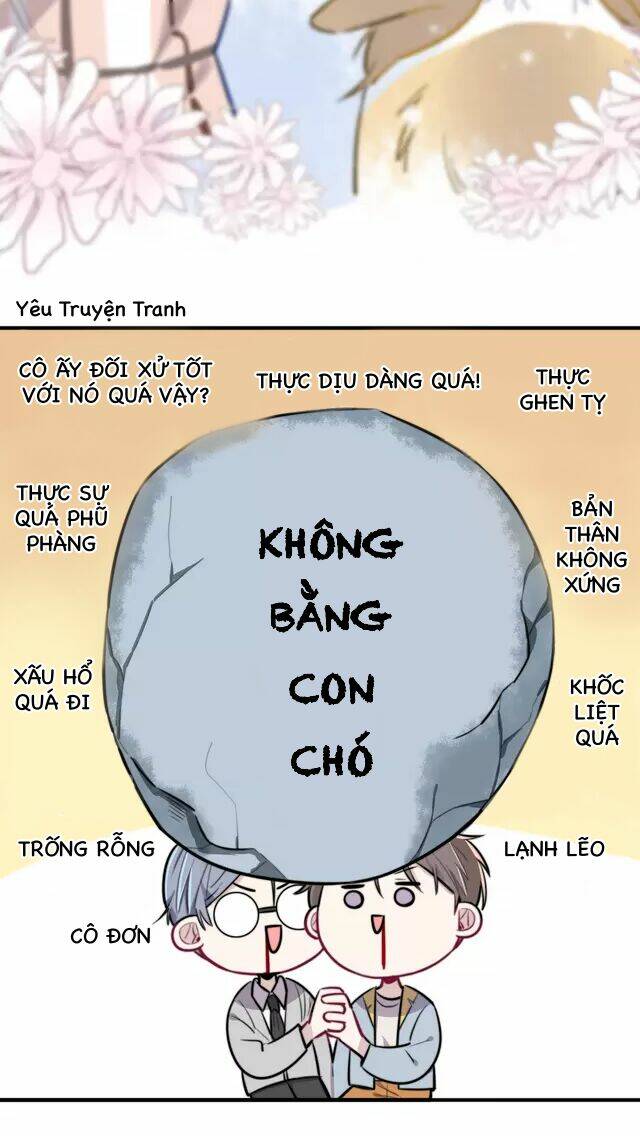 tinh-yeu-tren-cung-mot-dong/16