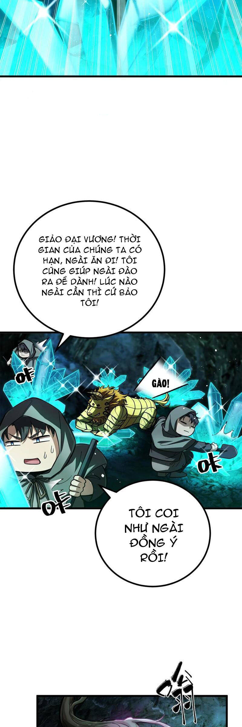 toan-cau-cao-vo/12