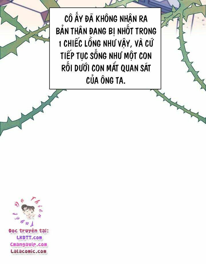 toi-chi-di-tim-cha-thoi/19