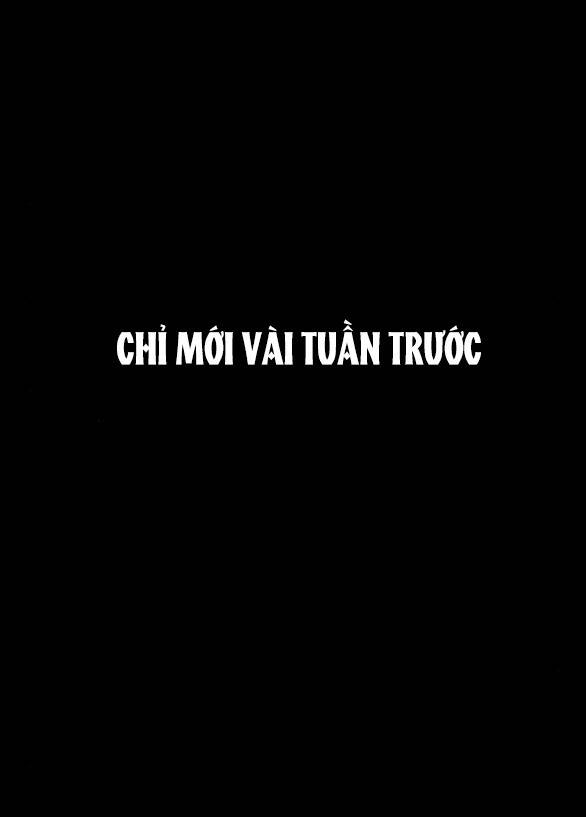 toi-thuan-hoa-cho-dien-cua-chong-cu/33