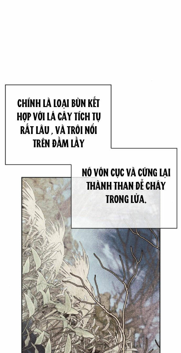 toi-thuan-hoa-cho-dien-cua-chong-cu/31