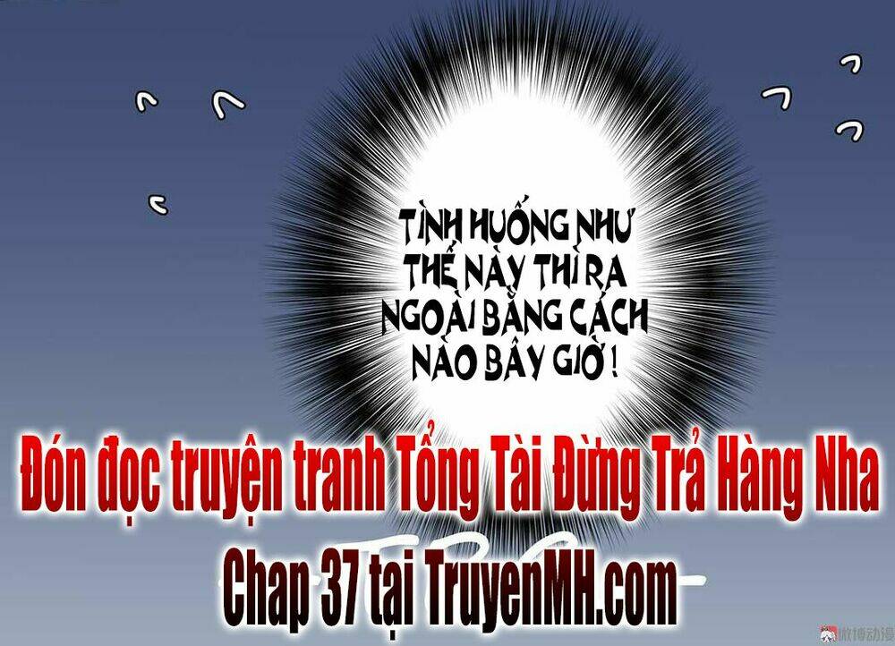 tong-tai-dung-tra-hang-nha/24