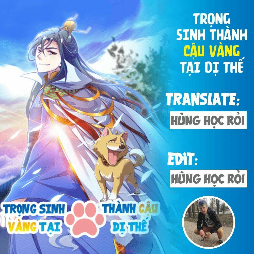 trong-sinh-thanh-cau-vang-tai-di-the/0