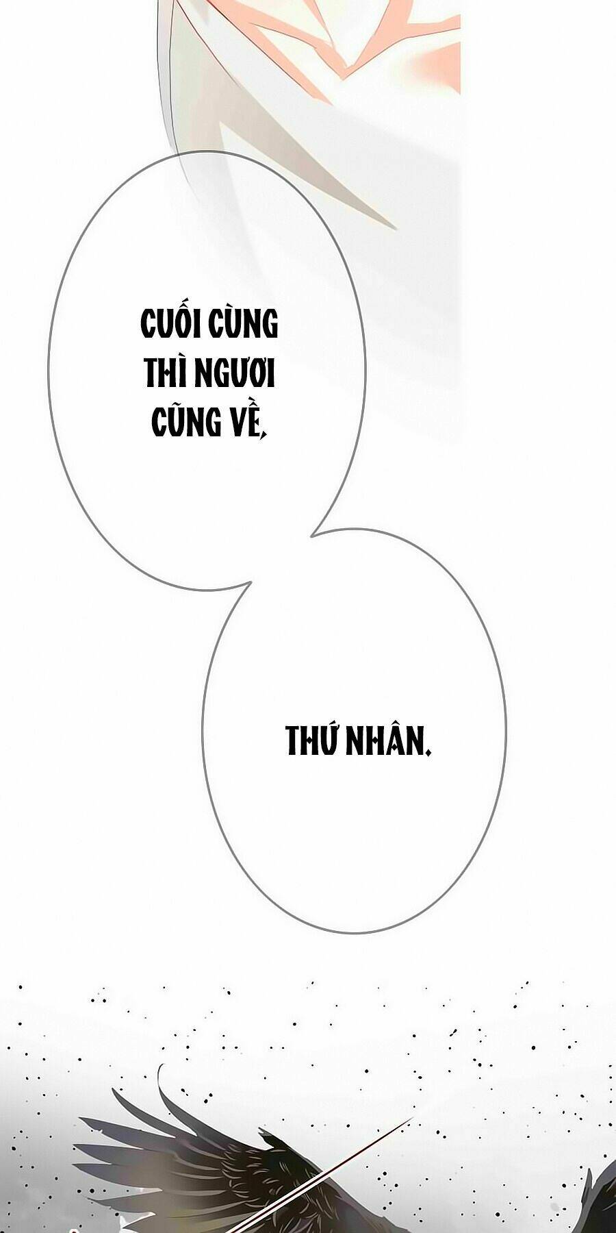 tuong-nhap-phi-phi/23