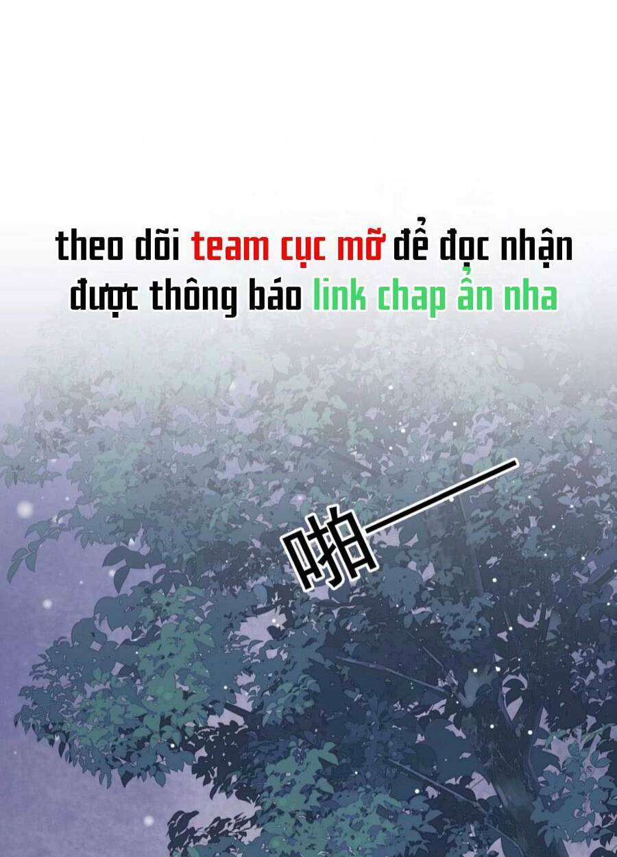 vi-ta-tram-hoa-cung-phai-ua-tan/2