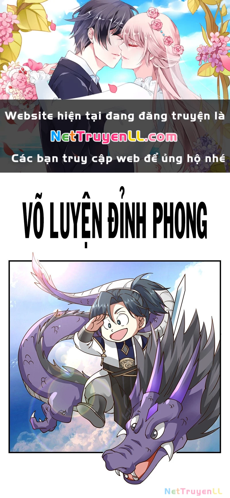 vo-luyen-dinh-phong/0