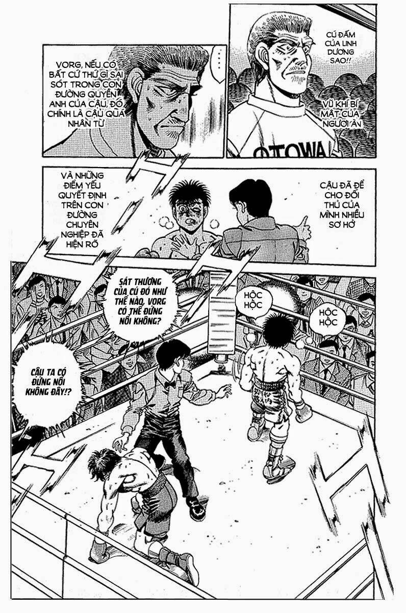 vo-si-quyen-anh-ippo/17