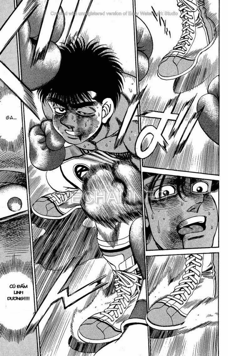 vo-si-quyen-anh-ippo/16