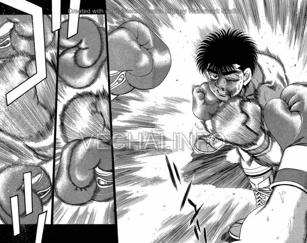 vo-si-quyen-anh-ippo/17