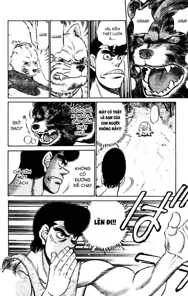 vo-si-quyen-anh-ippo/17