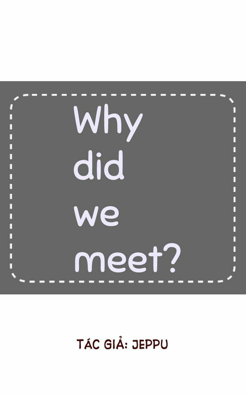 why-did-we-meet/6