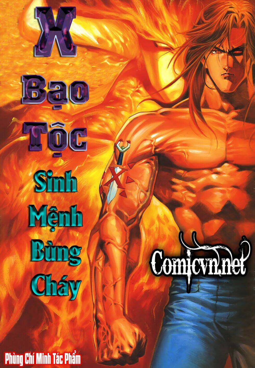 x-bao-toc/1