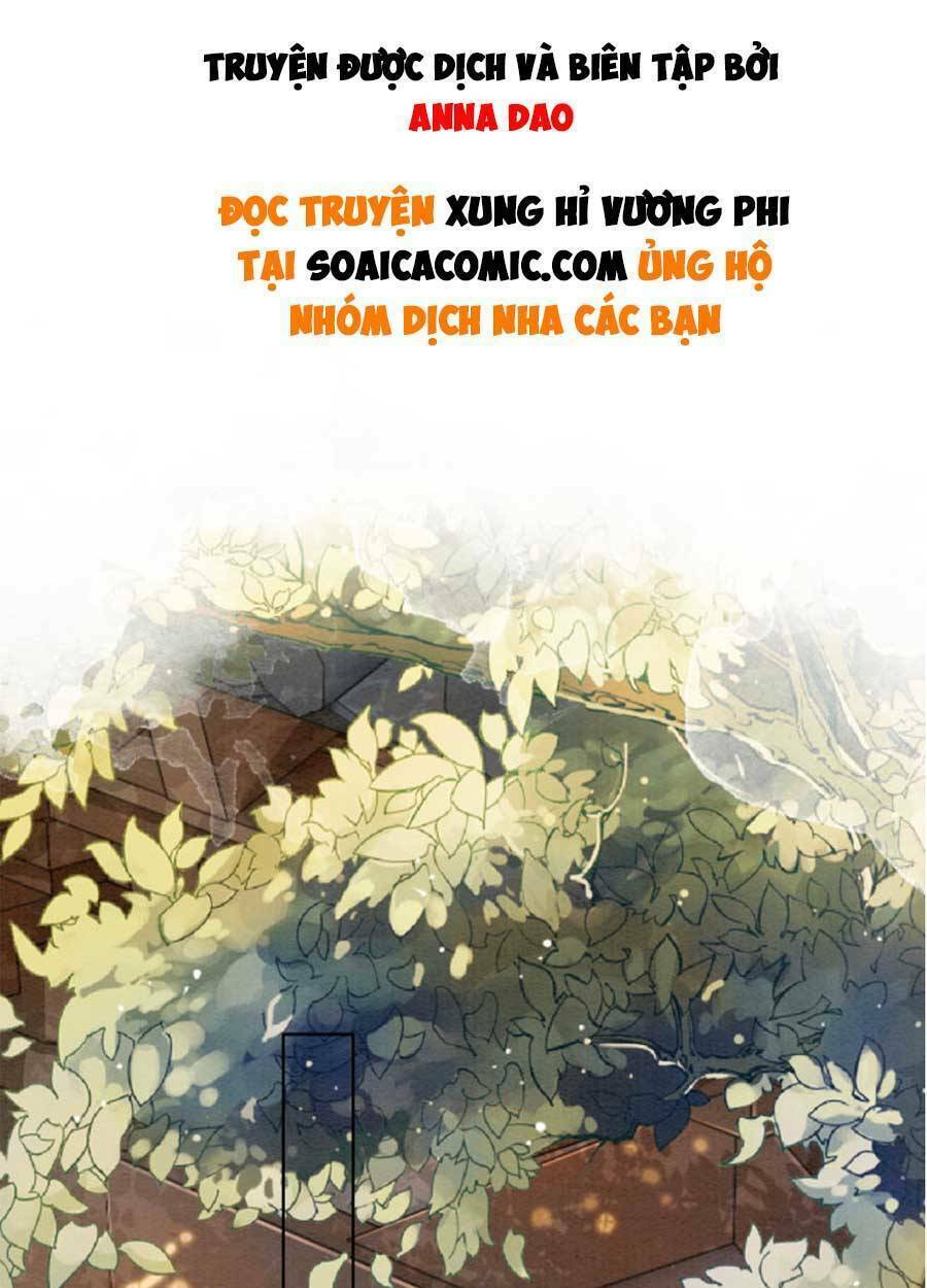 xung-hi-vuong-phi/0