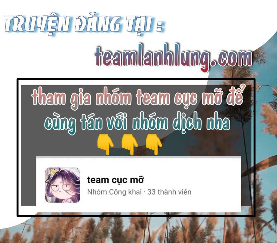 xuyen-qua-lam-vuong-phi-xinh-dep-cua-vuong-gia/0