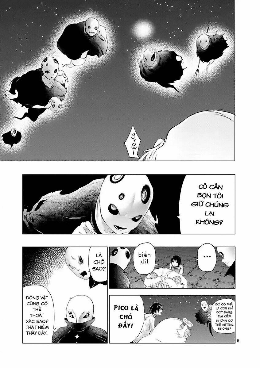 yajin/7