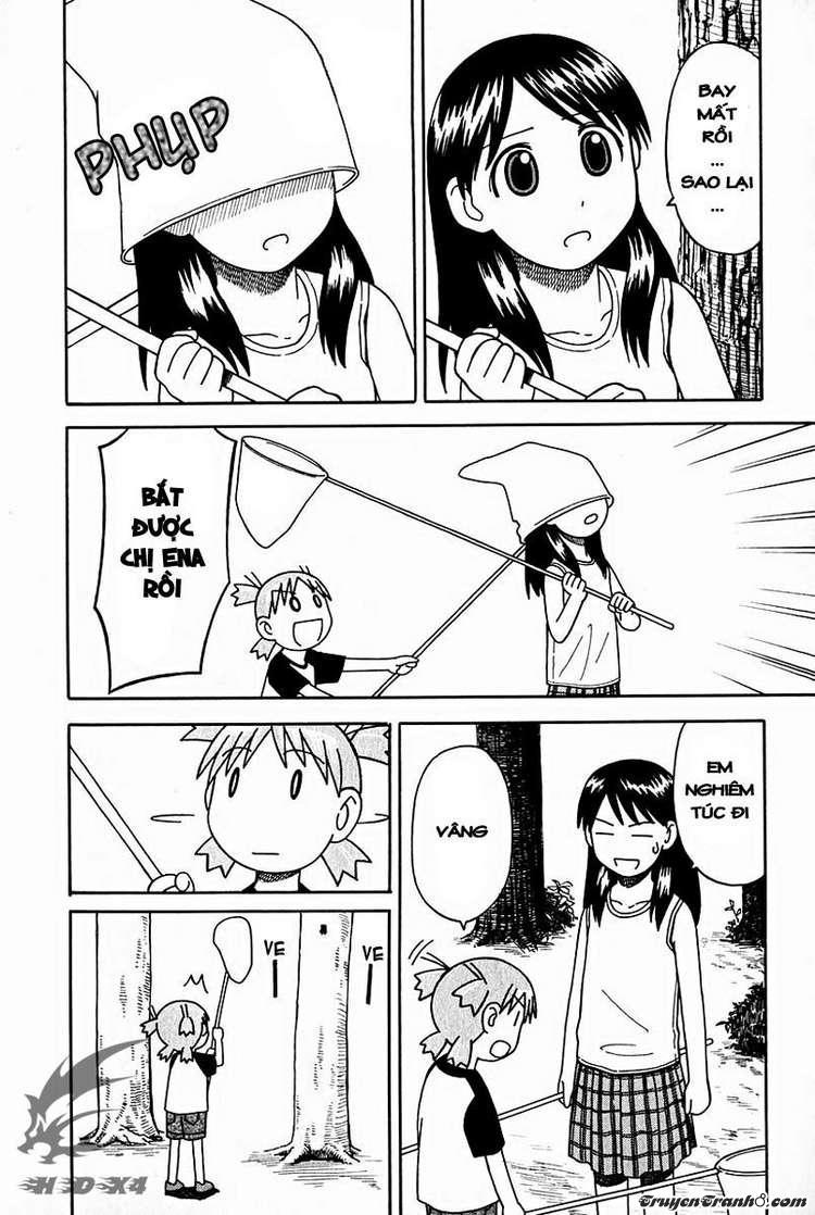 yotsubato/13