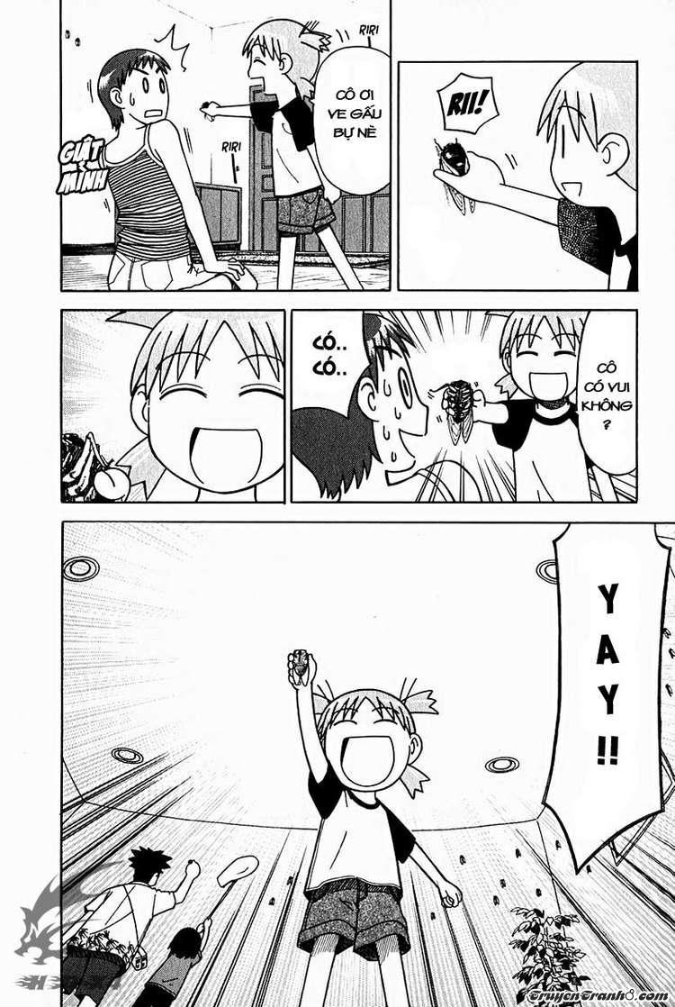 yotsubato/29